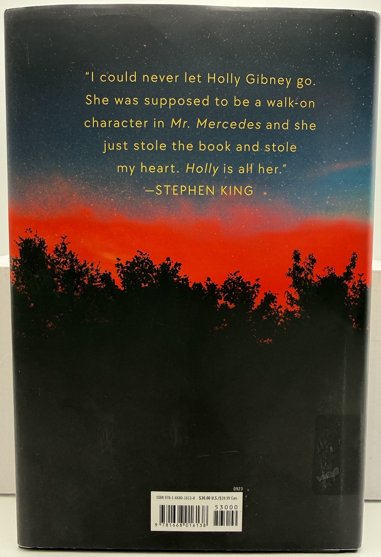 Stephen King Holly hardcover original dust jacket rear cover – Ruby's Reading Shelf